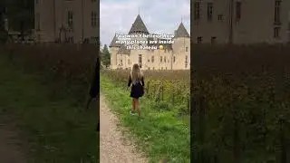 A French ch&acirc;teau filled with planes, cars, and motorcycles?! 🇫🇷 #shorts