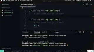 INTRODUCTION TO VARIABLES