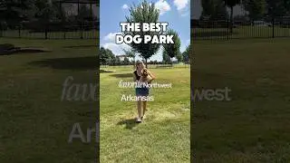 The best dog park in Bentonville, Arkansas  #dogparks #bentonvillearkansas
