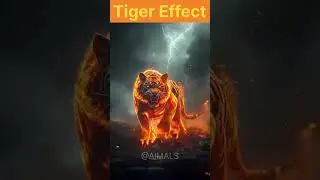 Tiger Effect Transformation #shorts #effects