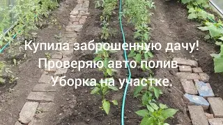 купила заброшенную дачу! убираюсь на участке, занимаюсь авто поливом.