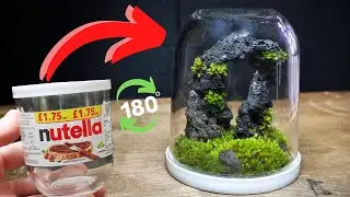 I Turned a Nutella Jar Into a UNIQUE Terrarium, Here’s How!