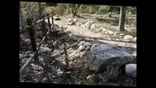 Peripecias de campo
