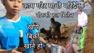 मरुल्जेली काम गर्ने हो खान पनि टन्न खनेको काम गरेर मान्छे मरिन्देइन 