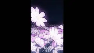 Kociro - Moonflower