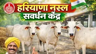 हरियाणा नस्ल संवर्धन केंद्र बाबूगढ़ छावनी हापुड़ || dairy farm