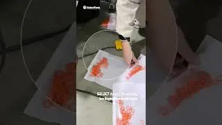 WALLABY Auto Bagger with Hopper | Packaging Orange Sealing Rings | SLP-DS02B/03B | SelectPack
