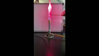 Lithium Chloride (LiCl)