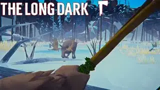 The Stress Of The 1000 Day Run Hits | Timberwolf Mountain | The Long Dark Stalker S21 E228