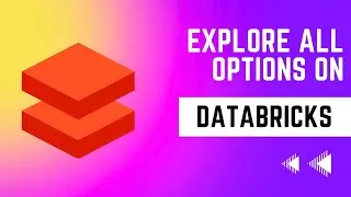 Explore options on Databricks - All options explained