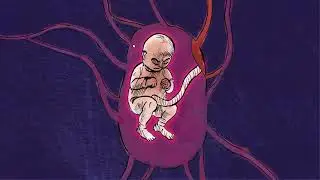 STORK for Schools: alcohol and recreational drugs in pregnancy