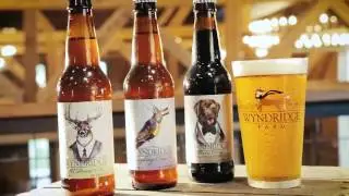 WYND2016 YouTubeHD