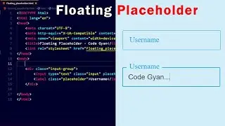 Floating Placeholder Using HTML And CSS | Placeholder Customization HTML CSS. @codegyaneducation
