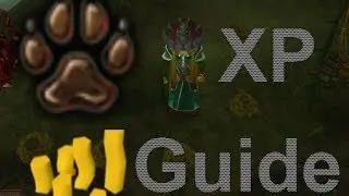 1600k GP + 50k hunter xp/hour - RS money making guide - Swamp Lizards