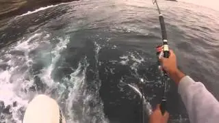 downrigging