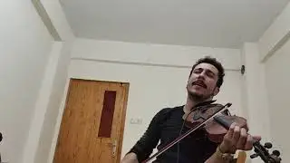 Altın dişli Karam