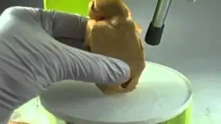 NEVERkneading PREMO Sculpey Accents Start To Finish