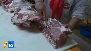 A Castelplanio si è svolta la tradizionale Pista del Maiale