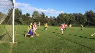 Cuala na fianna October 2014 2006 b team great win for Cuala