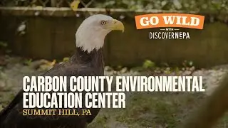 GO WILD with DiscoverNEPA: Carbon County Environmental Education Center | Summit Hill, PA