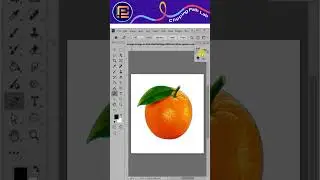 How to Save a JPG with Clipping Path in Photoshop | Quick & Easy Tutorial #photoshopcourse #adobe