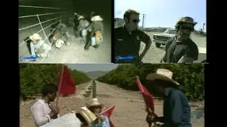 1982. Поездка в Ла-Каха, Мексика, затем пересечение границы с мигрантами.