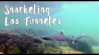 Snorkeling at Los Tuneles/Galapagos- most beautiful place in Isabela-and maybe of the world
