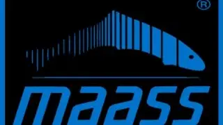 MAASS Slicers
