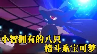 盘点小智收服过的所有格斗系宝可梦，最后一只将帮小智问鼎冠军
