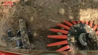 Rollhacke F.lli Drigo : Diserbo meccanico sottofila di vigneti e frutteti