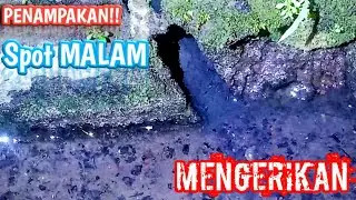 MANCING BELUT MALAM HARI DI GOT PERUMAHAN DI KOTA JEMBER