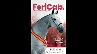 Concurso Morfol&oacute;gico PRE ANCCE 3* -  Fericab Lorca 2025