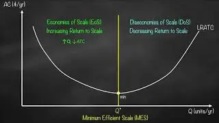 Economies of Scale vs Diseconomies of Scale