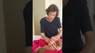 QUE JUDIAÇÃO 😂