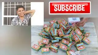आप देख कर चौक जाएंगे जब 1000 SNAKE BOMBS (सांप की गोलियों) को एक साथ चलाया जाता 