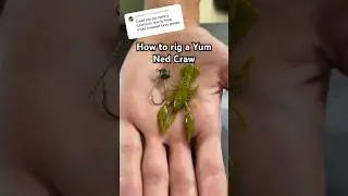 How to hook a Yum Ned Craw #shorts #fishing #fishingshorts #bassfishing #bass #fishinggear #lure