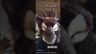 Goat compilation! #fursona