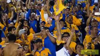 LA PASI&Oacute;N POR TIGRES | LIBRES Y LOKOS FELICES LOS CUATRO
