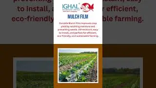 Mulch Film Benefits | Sustainable Farming and Plant Growth Solutions