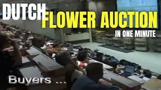 Daily flower auction in Netherlands - Fastest auction in Europe?