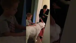 Chief Helping Sagan Get Ready for School