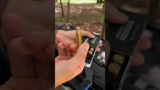 Best 45 Colt Ammo? (Rossi Brawler Edition)