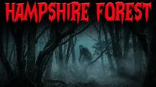 10 Most Disturbing TRUE New Hampshire Forest | Horror Stories | Terror Mora
