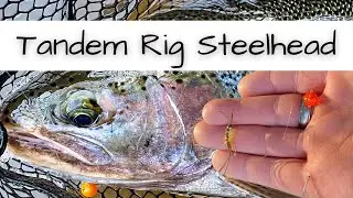 This Simple Rig Catches Steelhead, Even When They Are Finicky!
