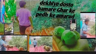 Doston dekhiae hamare ped ke kitne hare bhare mithe Amrit Hai hamare ped ke.#viral ##viralvideo