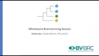 White Board Brainstorming Session Day 1