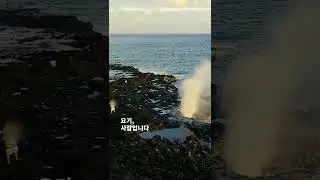 살려주세요, Spouting Horn, Kauai Hawaii #shorts