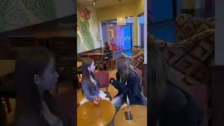 Người tốt thường ở quanh ta #lustchocolate #lustivate #lustchocolatevn #shortsviral #shortsvideo