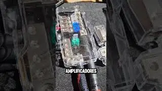 As&iacute; se conectan varios amplificadores correctamente #caraudio #amplificador #autos