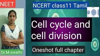 Cell cycle and cell division class11 one shot Full chapter NCERT Tamil